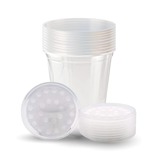 Deli Cups with Fabric Vented Lids (32oz/10 cups)