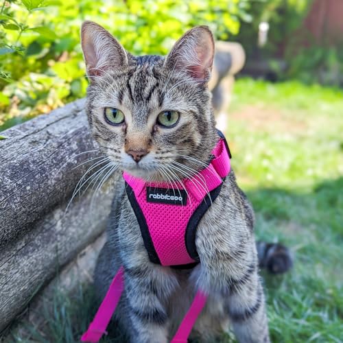 Cat Harness and Leash Set (Xxs / Rose Red)