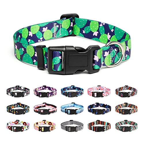 Adjustable Dog Collar (Small / Cactus)