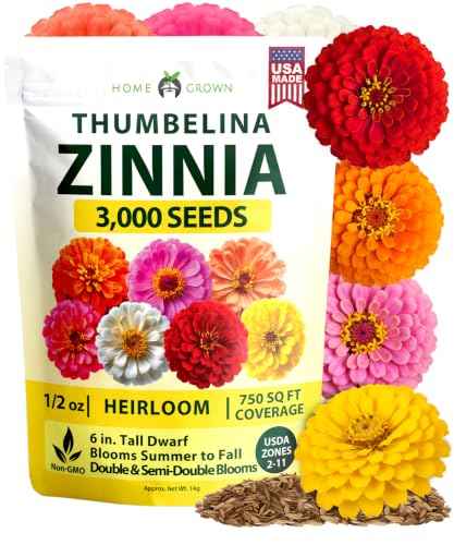 Thumbelina Zinnia 3