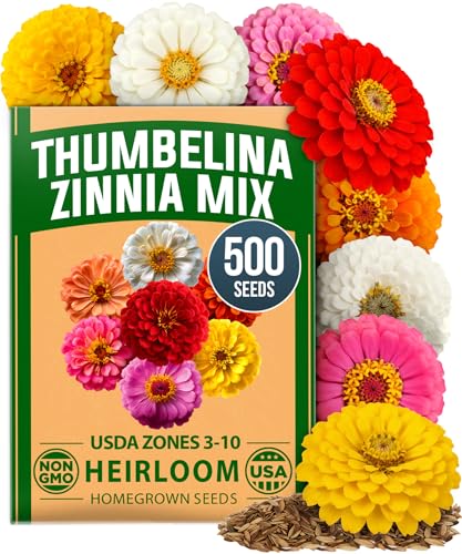 Zinnia Seeds Thumbelina