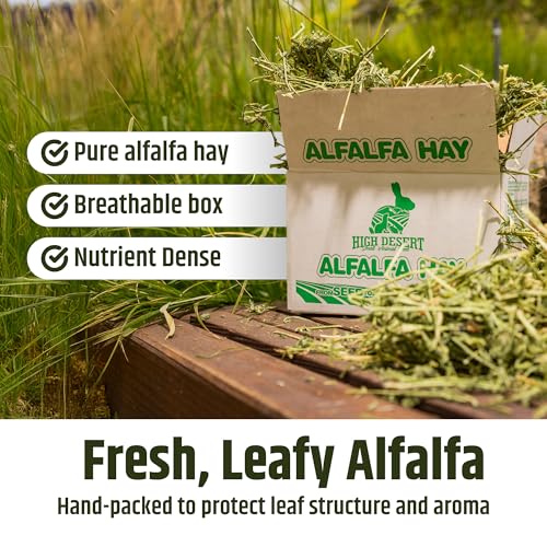 Alfalfa Hay Protein Rich Soft Leaf Food for Young Growing Animals (10 Pound (Pack of 2))