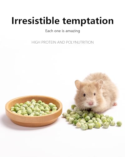 Hamster Snack & Treats Toy