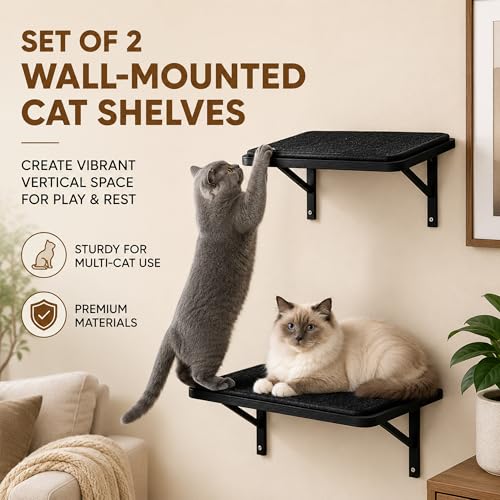 Cat Wall Shelves Set of 2 (2PCS Shelf with Black Sisal)