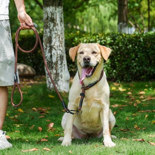 Rope Dog Leash (Brown / 6FT*0.51" Single Handle)