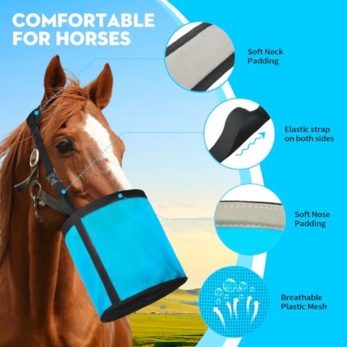 Horse Feed Bag for Grain (Sky blue)
