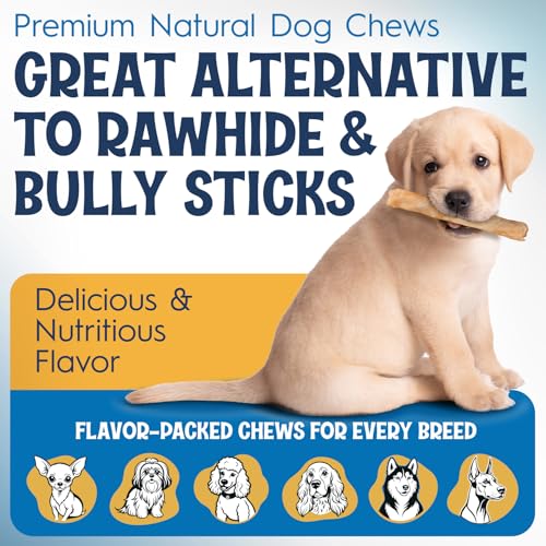 Collagen Bully Stick for Dogs (1 Count (Pack of 10))