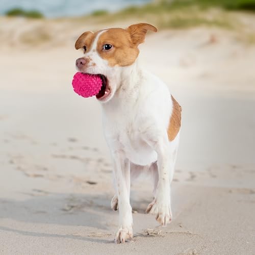 Squeaky Dog Toys with Soft Durable Fabric for Small (Fuchsia, Green / Medium)