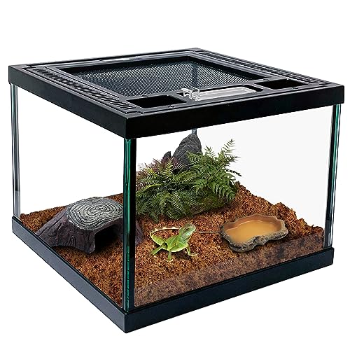 Mini Reptile Glass Terrarium Tank 8 * 8 * 6" Full View (8*8*6inch)