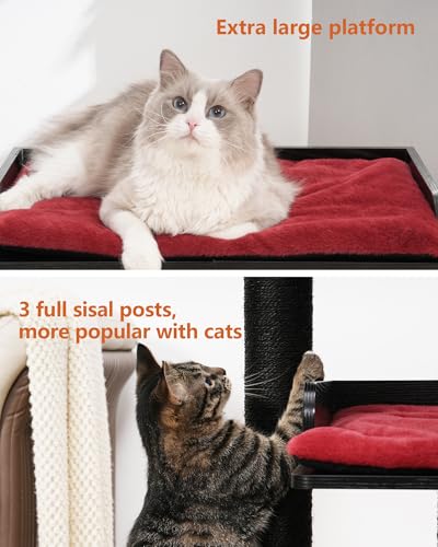 43.7" Modern Cat Tree (Black/Red / 23.6"L x 23.6"W x 43.7"H)