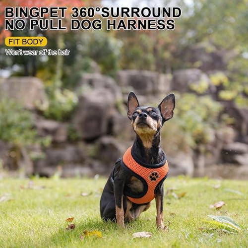 Small Dog Harness (S (NECK: 12", CHEST: 14"-18") / Orange)