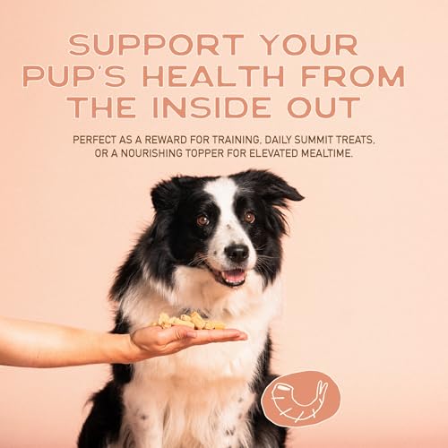 Healthy Soft Dog Treats (5 Ounce (Pack of 3))
