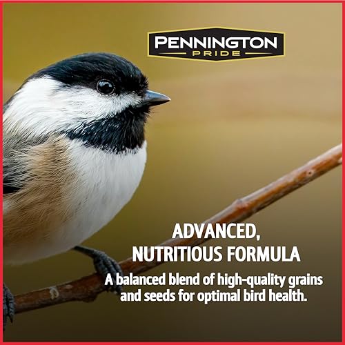 Classic Natural Oil Sunflower Seed Bird Food (10 pounds)