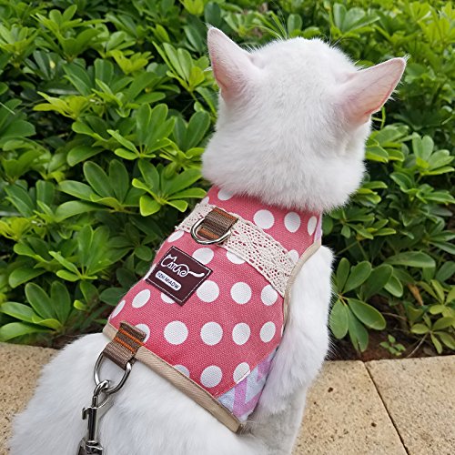 Cat Harness and Leash Set Escape Proof (Pink Polka Dots / L 8-12 lbs)