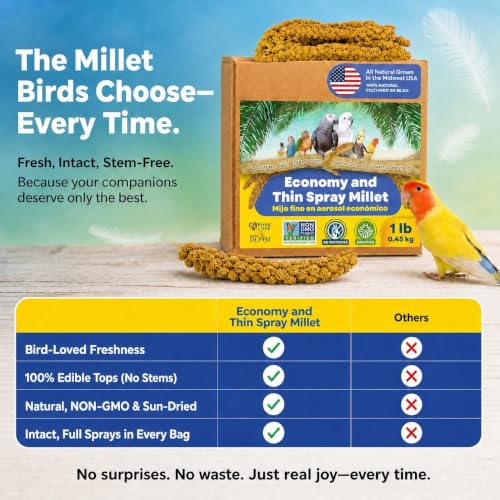 1lb Economy & Special Spray Millet for Birds (1 Pound (Pack of 1))