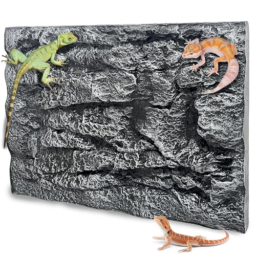 23.6x17.7in Rock Terrarium Background (grey-23.6"* 11.8"（1pcs）)