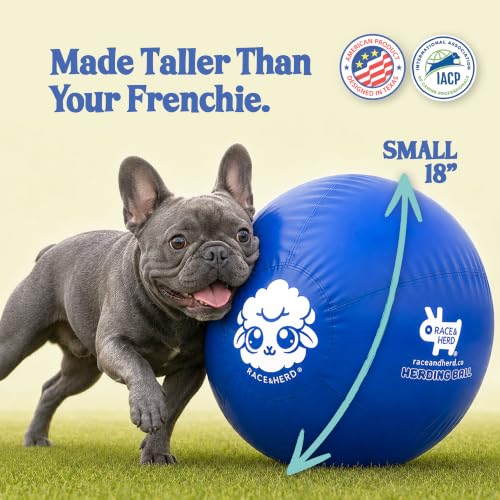 18" Original Herding Ball for Dogs (Ocean - S 18" Herding Ball Set / S 18")