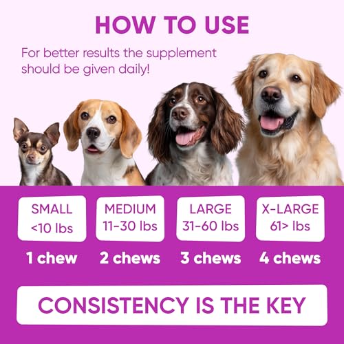 Dog Allergy Relief Chews for Itchy Skin (Purple)