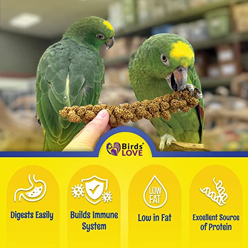 25lbs Economy & Special Spray Millet for Birds (25 Pound (Pack of 1))