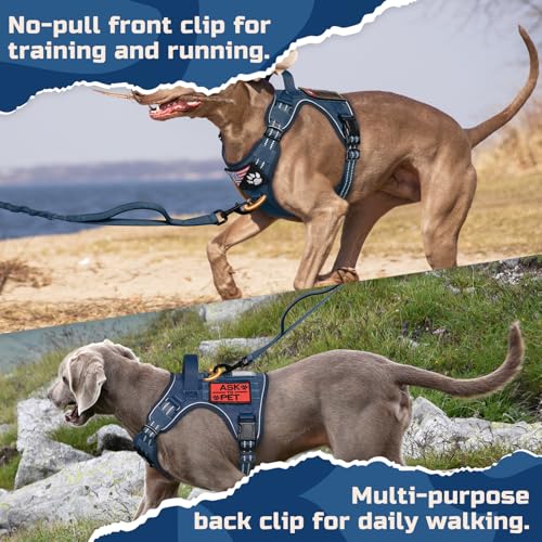 Tactical Dog Harness for Small (Blue / Small)