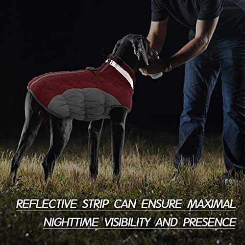 Dog Coat for Large Dogs (Red / L(chest:24in))