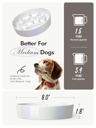Dog Bowls Slow Feeder Ceramic (Crown Silver / M-1.5 Cups)