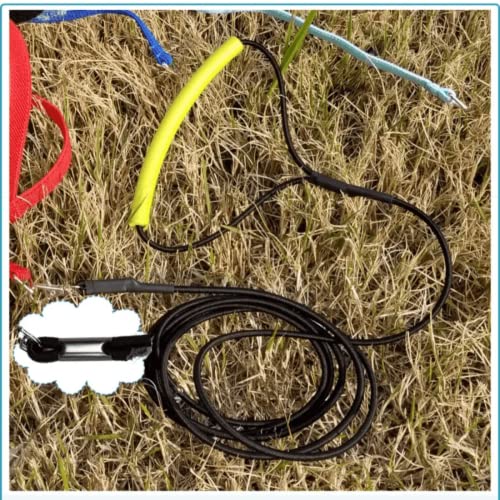 Pet Parrot Bird Harness Leash Adjustable Bird Flying Harness Traction Rope with Cute Wing for Parrots Pigeons Budgerigar Lovebird Cockatiel Mynah Outdoor Training Toy (M / Purple)