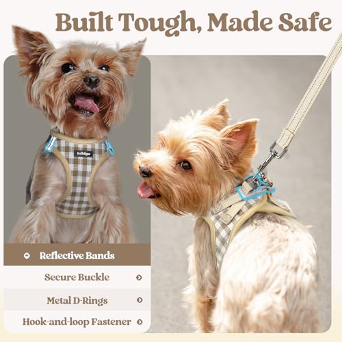 Dog Harness Small Sized and Leash Set (Beige Check / S (chest: 15.1 - 16.5"))
