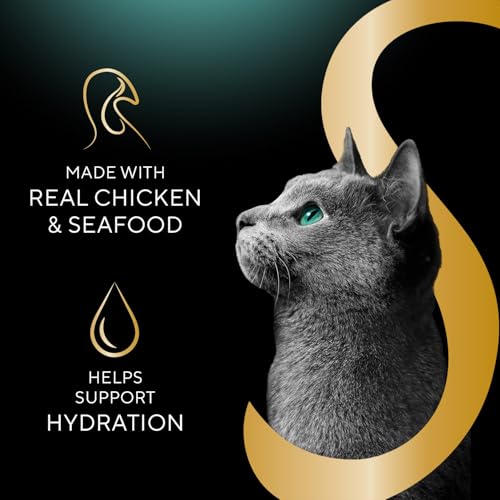 Selections Filets Wet Cat Food Complement (12 Count (Pack of 1))