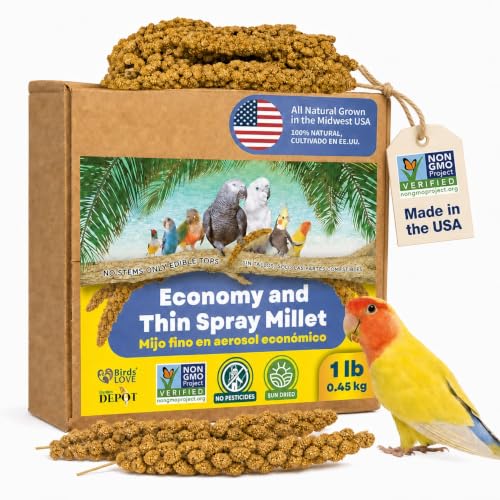 1lb Economy & Special Spray Millet for Birds (1 Pound (Pack of 1))