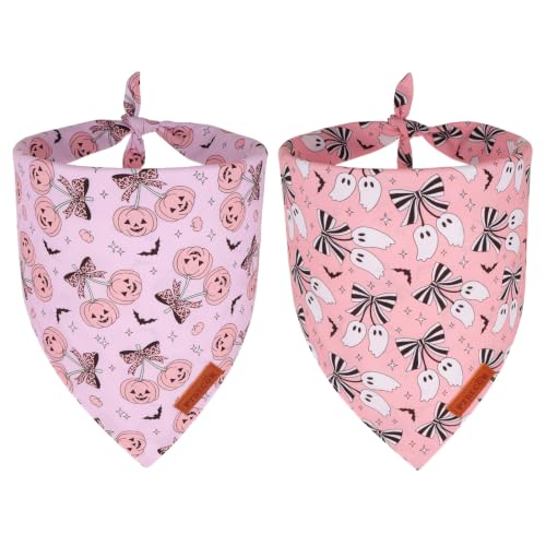 Halloween Dog Bandanas Girl (Small / Halloween-3)