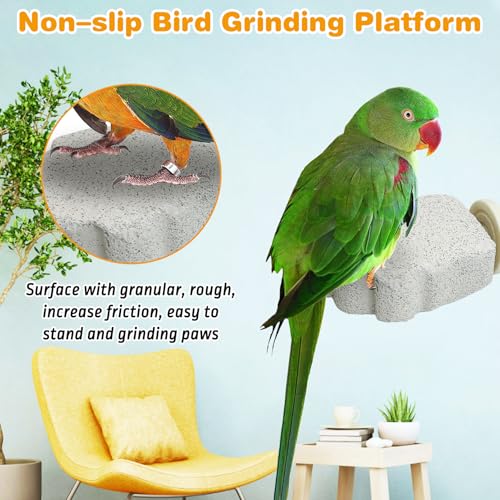 8 PCS Bird Perches Calcium Parrot Perch Stand Bird Beak Grinding Stone Foot Claws Trimmer Parrot Chewing Toys Bird Cage Accessories for Budgie Cockatiel Conure Lovebird Finch