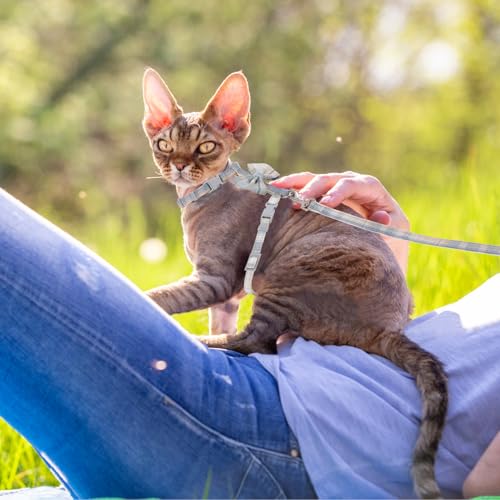 Cat Harness and Leash Set (Bow Tie)