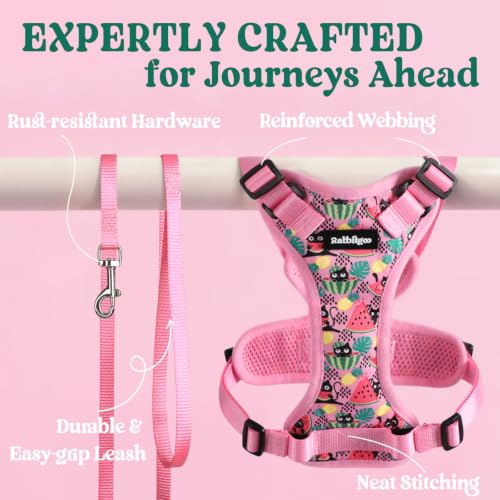 Cat Harness and Leash Set (S / Melon Munch)