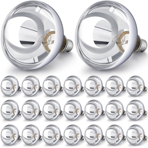 24 Pack Heat Lamp Bulbs 250 Watt (Silver)