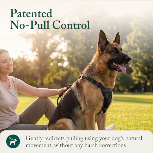 No Pull Dog Harness (Large/X-Large / Red)