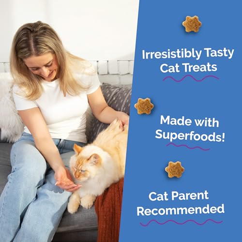 Crunchy Cat Treats (1.88 Pound (Pack of 1) / Chicken & Blueberry)