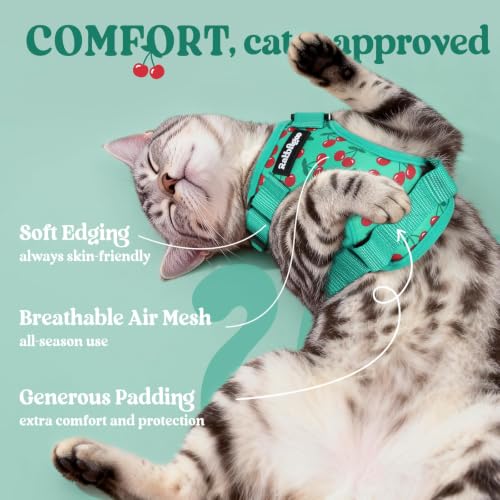 Cat Harness and Leash Set (S / Cherry Grove)