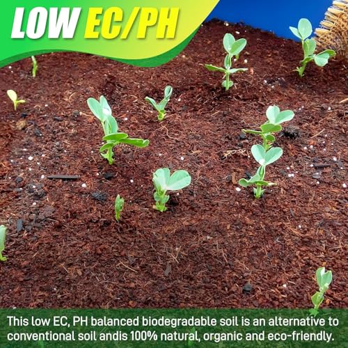 Coco Coir Brick for Plants 12 Pack Premium Coconut Bricks (12pcs)