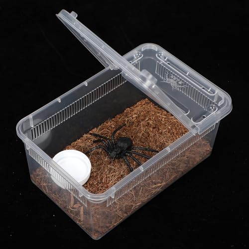 8 Pcs Reptile Breeding Box Plastic Spider Terrarium Tarantula Feeding Box for Bearded Dragon Lizard Spider Gecko Scorpion (Vent Strips / Clear / 5.9 x 3.9 x 2.5 Inch)
