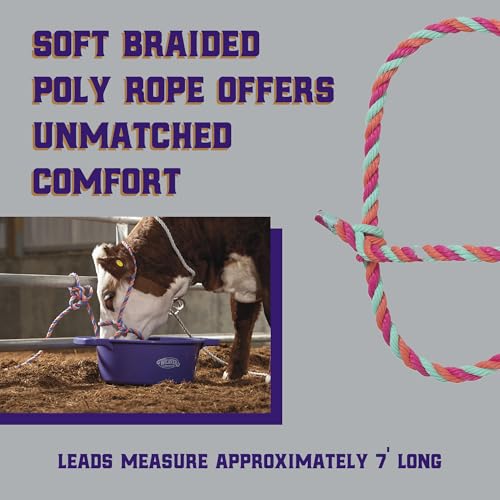 Braided Poly Rope Cattle Halter
