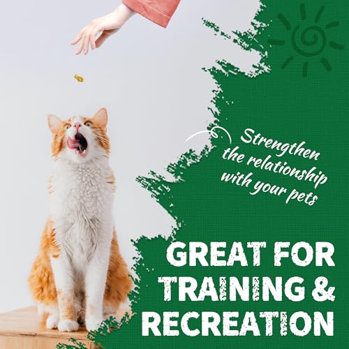 Cat Grass Treats with Salmon Oil 13.4 OZ (13.4 Ounce (Pack of 1))