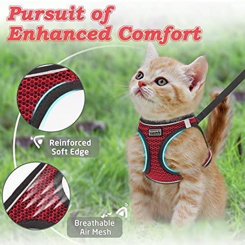 Cat Harness and Leash for Walking Escape Proof (M / Red)