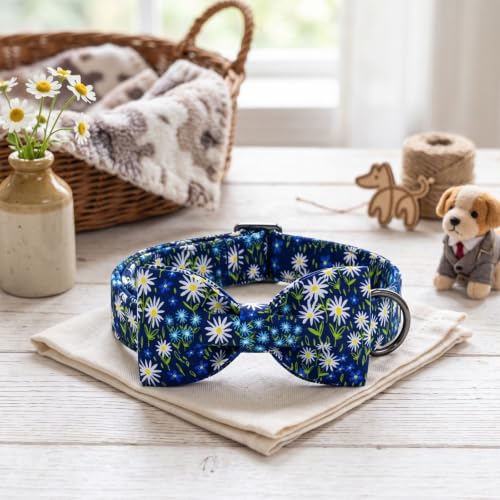 Blue Dog Collar (Daisy / X-Large (Pack of 1))