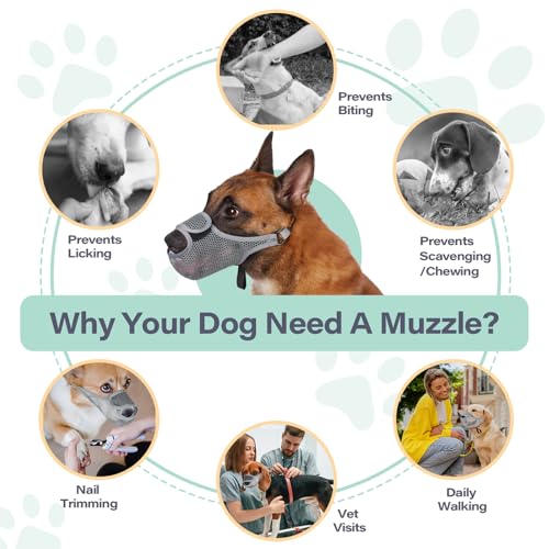 Mesh Dog Muzzle for Large Medium Small Dogs with Front Opening (Grey / M)