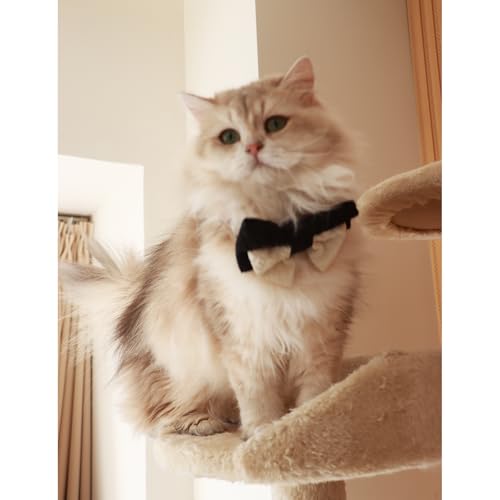 10 PCS Dog Bow Ties (Medium)