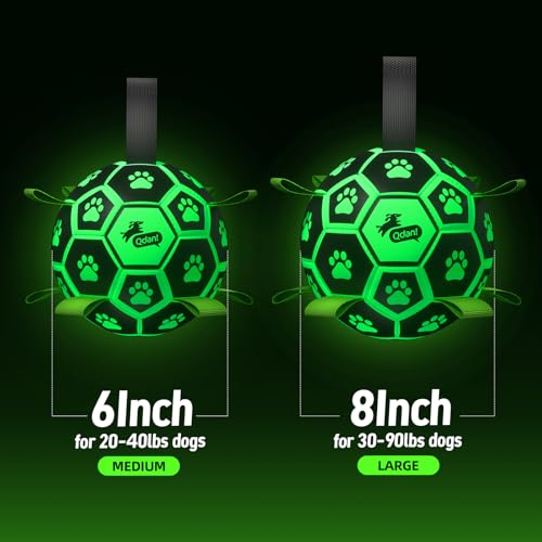 Glow in The Dark Dog Toys (Light Up Ball / 8 Inch)