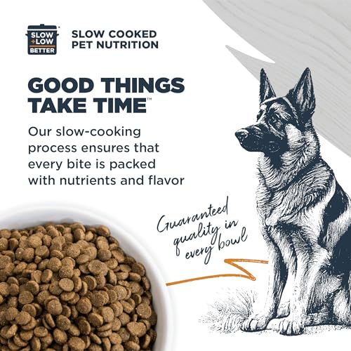 Sensitive Premium Dry Dog Food (Lamb Meal & Brown Rice with Ancient Grains / 24 Pound (Pack of 1))