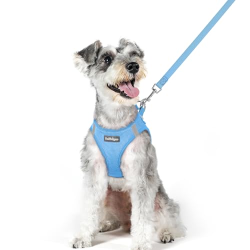 Dog Harness Medium Sized and Leash Set (Blue / Xl (chest: 20 - 21.8"))