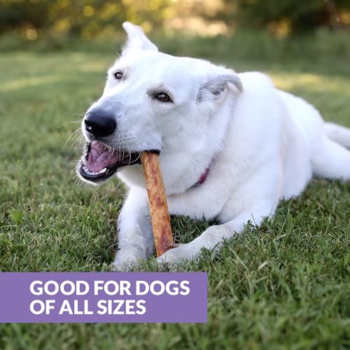 Real Duck Collagen Stick Dog Treat 10" (11 Ounce (Pack of 3))